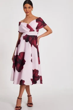 Quiz Wedding Guest Dresses|Occasion Dresses>Blush Floral Skater Dress