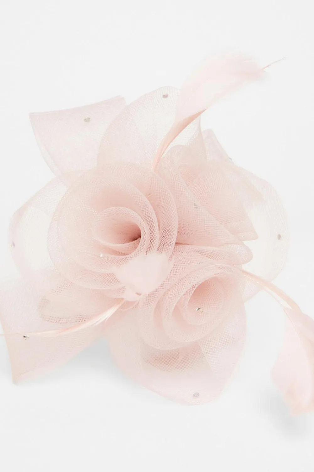 Quiz Wedding Accessories|Fascinators>Flower Headband Fascinator