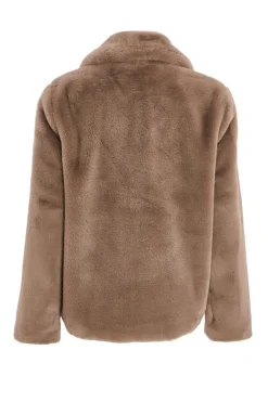 Quiz Jackets & Coats|Going Out><noscript><img width=