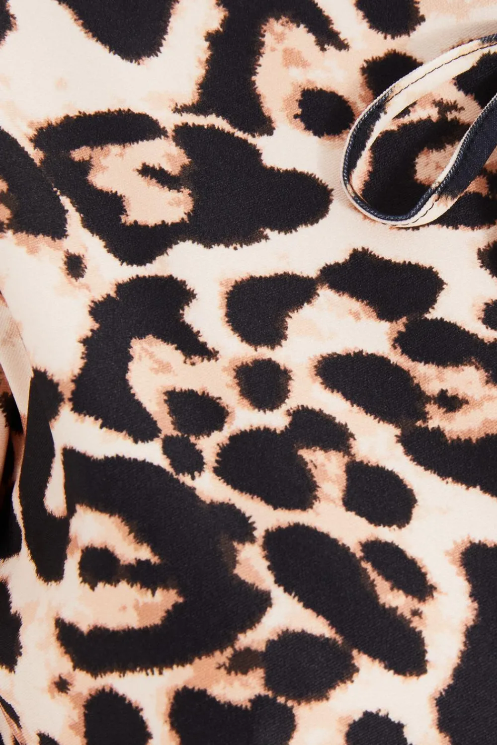 Quiz Summer Tops|Going Out Tops>Brown Leopard Print Tie Top