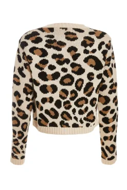 Quiz Casual Clothing><noscript><img width=
