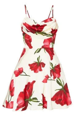 Quiz Day At The Races|Florals>Cream Satin Rose Print Mini Dress