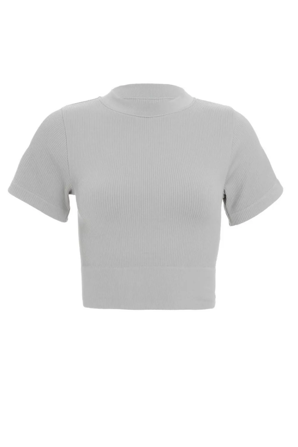 Quiz T-Shirts|Day Tops>Seamless Crop Top