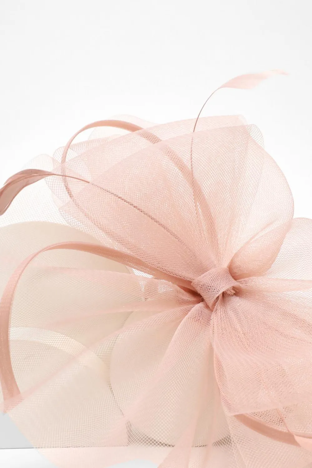 Quiz Wedding Accessories|Hair Accessories>Mauve Feather Headband Fascinator