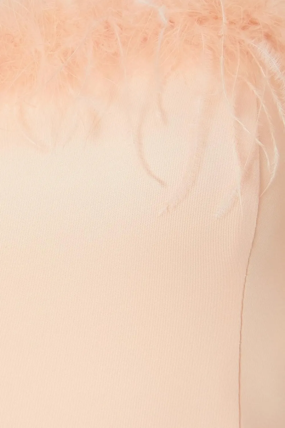 Quiz Prom Dresses|Prom & Ball>Feather Trim Midaxi Dress