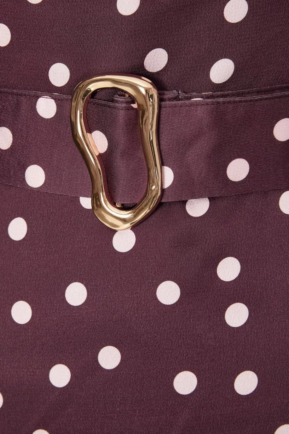 Quiz Evening Dresses|Day At The Races>Petite Dark Red Polka Dot Midaxi Dress