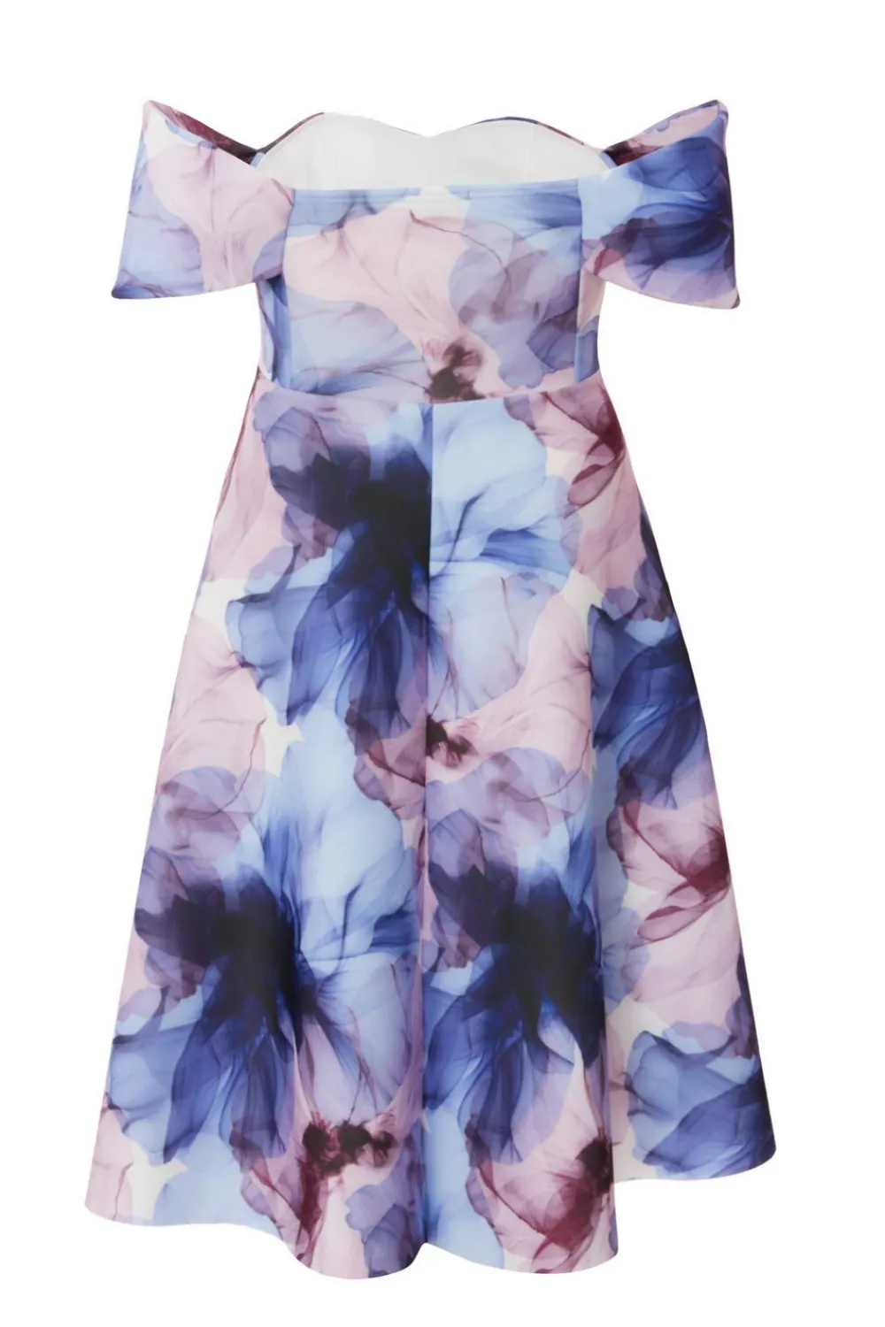 Quiz Day At The Races|Florals>Petite Light Blue Floral Skater Dress