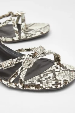 Quiz Heels><noscript><img width=
